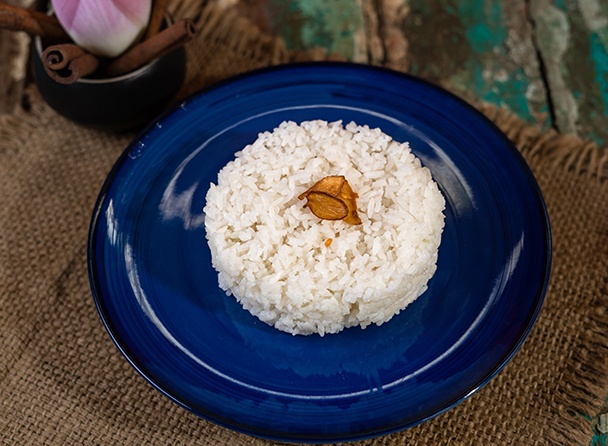 food-dish